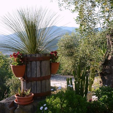 La Gatta Sul Sentiero Bed and Breakfast San Salvatore  Εξωτερικό φωτογραφία