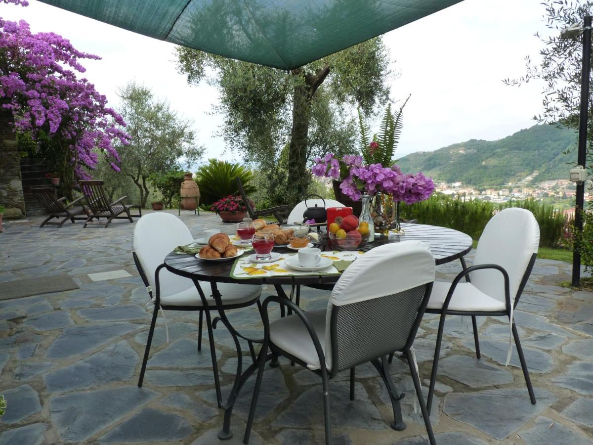 La Gatta Sul Sentiero Bed and Breakfast San Salvatore  Εξωτερικό φωτογραφία