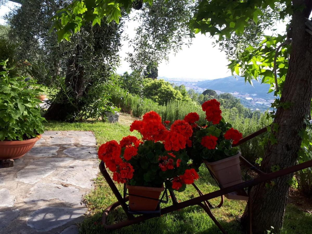 La Gatta Sul Sentiero Bed and Breakfast San Salvatore  Εξωτερικό φωτογραφία