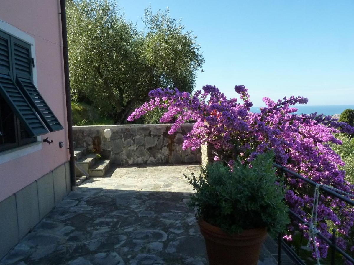 La Gatta Sul Sentiero Bed and Breakfast San Salvatore  Εξωτερικό φωτογραφία