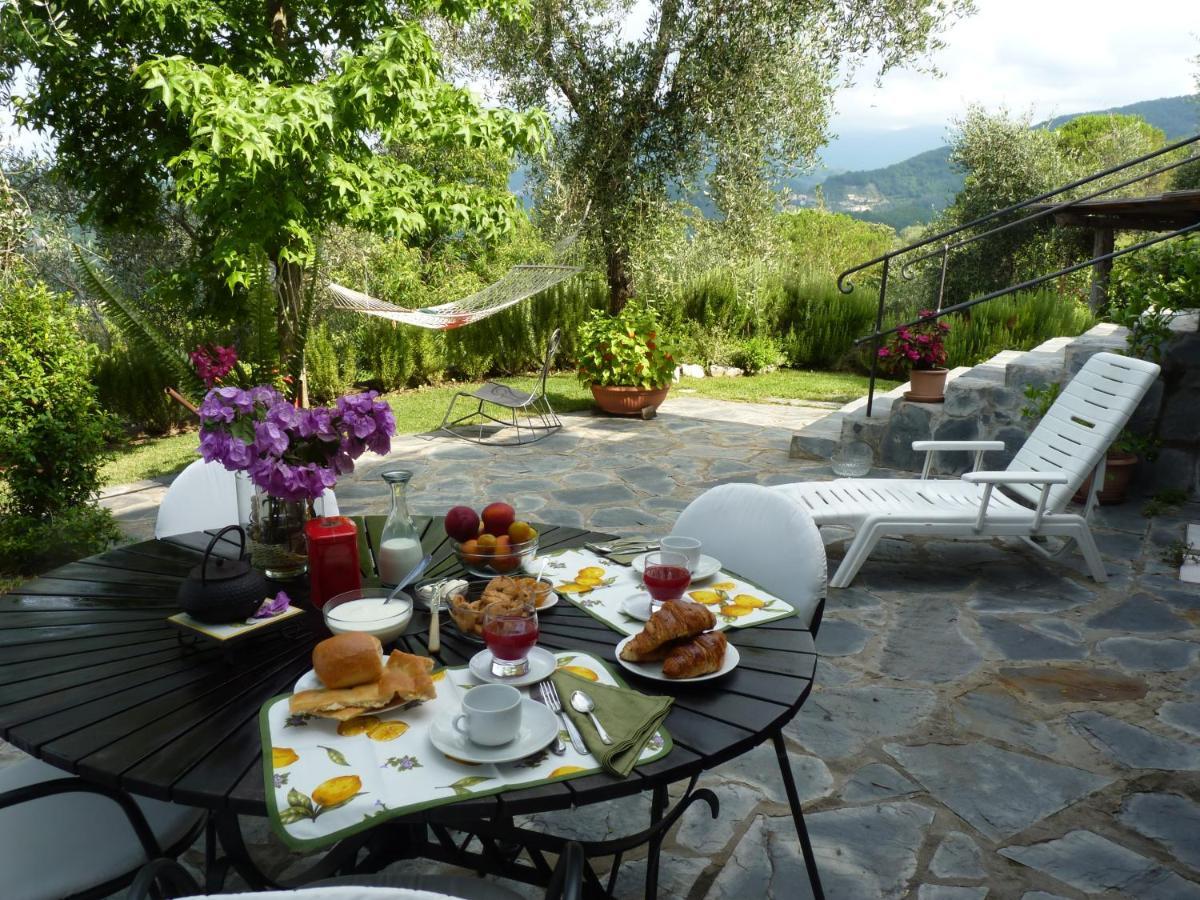 La Gatta Sul Sentiero Bed and Breakfast San Salvatore  Εξωτερικό φωτογραφία