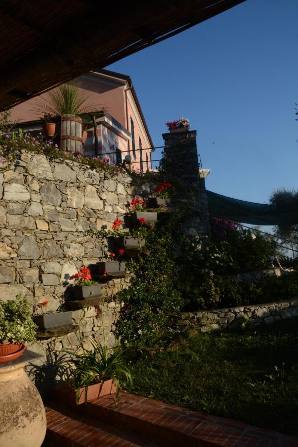 La Gatta Sul Sentiero Bed and Breakfast San Salvatore  Εξωτερικό φωτογραφία