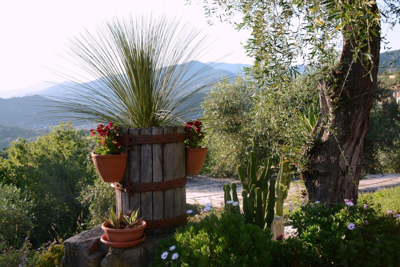 La Gatta Sul Sentiero Bed and Breakfast San Salvatore  Εξωτερικό φωτογραφία